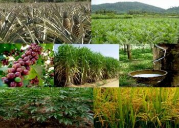 2. Kinh tế Lào năm 2018 không đạt nhiều chỉ tiêu đề ra