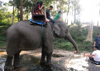 Các địa điểm du lịch gần Vientiane