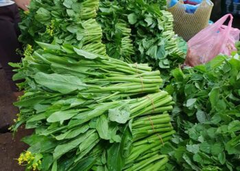 9. Giá cả nhiều loại mặt hàng thiết yếu đồng loạt giảm