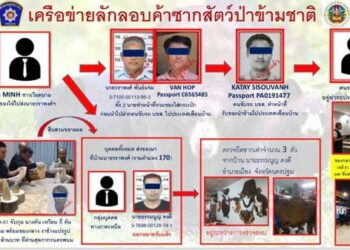 Công an Thái Lan triệt phá đường dây buôn lậu có sự tham gia của người Việt Nam