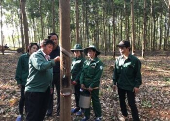 Đầu tư nông nghiệp sang Lào tiềm ẩn nhiều rủi ro