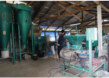 Đã có 124 doanh nghiệp SME vừa và nhỏ tiếp cận được vốn vay ưu đãi