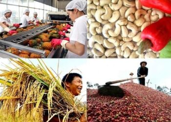 33. Đầu tư nông nghiệp sang Lào tiềm ẩn nhiều rủi ro