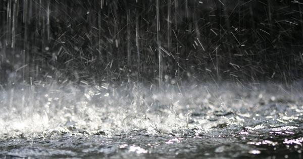 Dự báo thời tiết tuần này