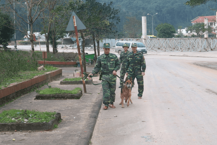 Biên phòng tỉnh Quảng Bình tăng cường phòng chống buôn lậu qua biên giới