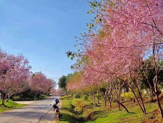 Sắc xuân vùng biên giới