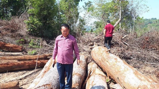 Tỉnh Savannakhet tổ chức tận thu lâm sản lấy diện tích xây dựng đập thủy điện