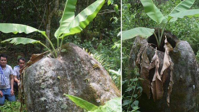 Người dân phát hiện hàng chục chum đá tại tỉnh Xaysombun