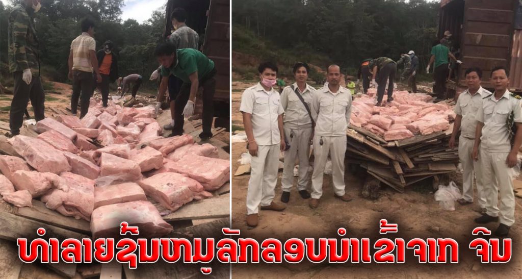 Tỉnh Luổng Nặm Tha tiêu hủy thịt lợn ngâm hóa chất nhập lậu từ Trung Quốc