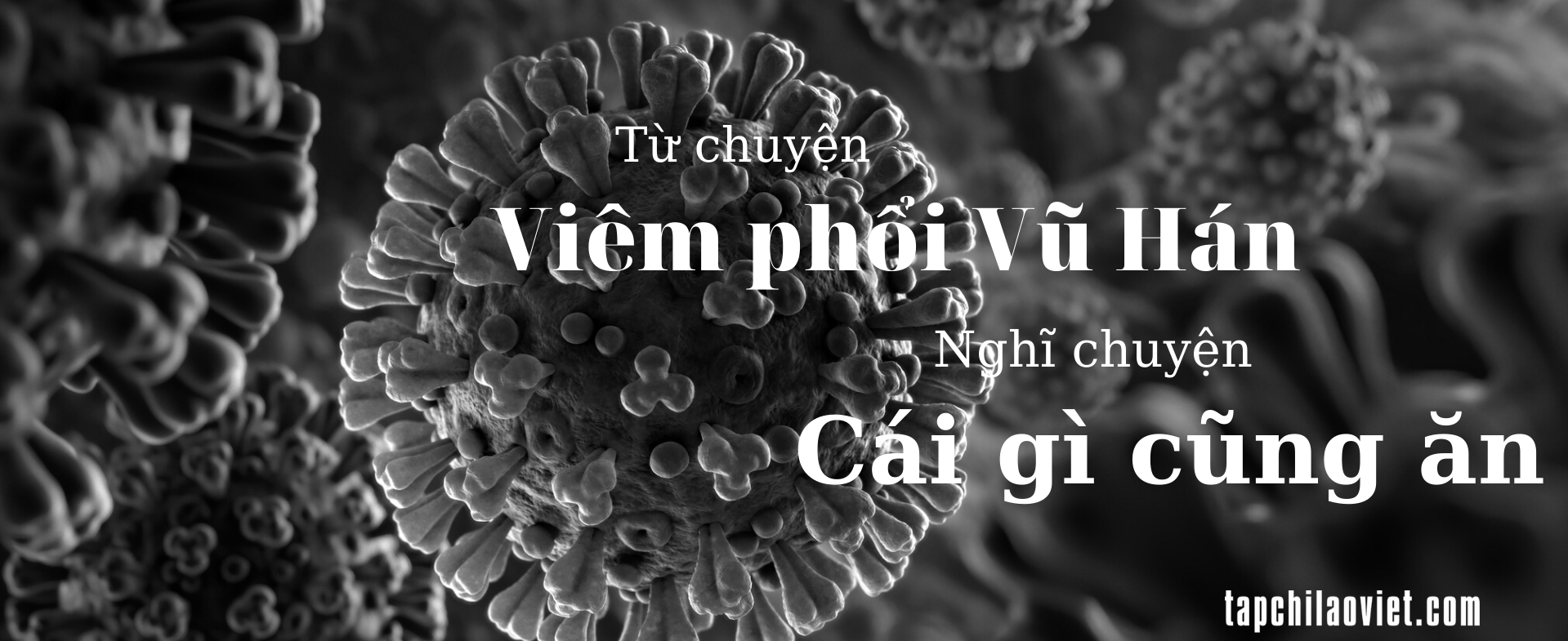 Từ chuyện viêm phổi Vũ Hán nghĩ chuyện cái gì cũng ăn