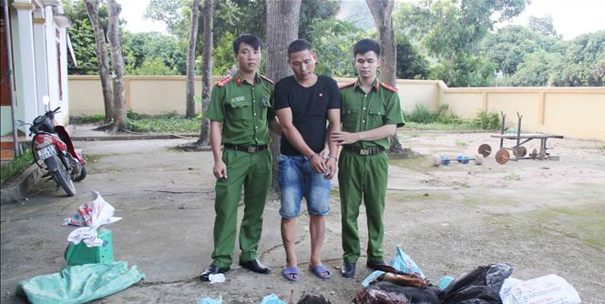 Bắt đối tượng vận chuyển số lượng lớn động vật quý hiếm từ Lào vào Việt Nam