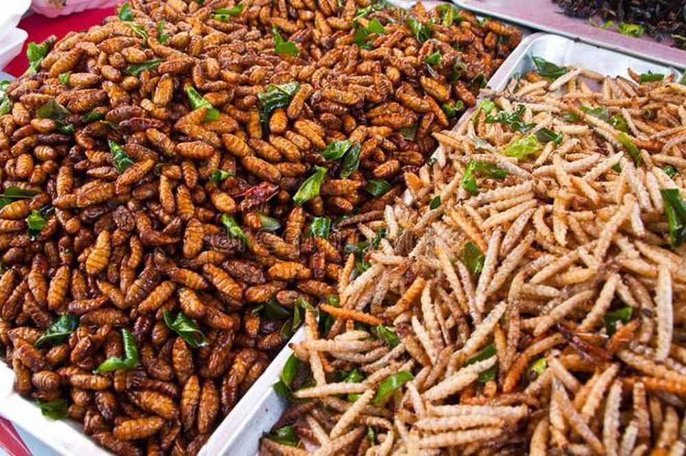 Những món ăn từ côn trùng của Lào khiến du khách ‘khóc thét’