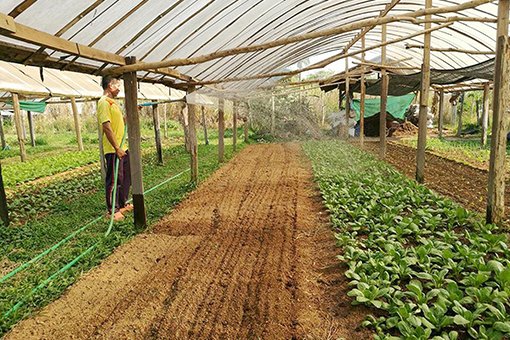 Quận Pakngeum chú trọng phát triển nông thôn mới