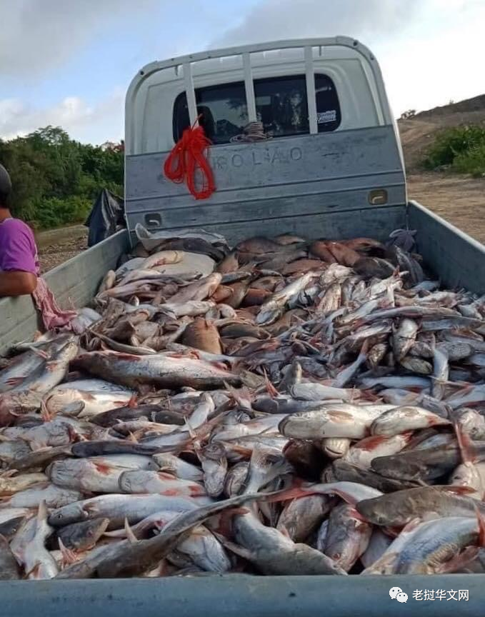 Ngư dân Champasak rộn ràng vào mùa đánh bắt cá