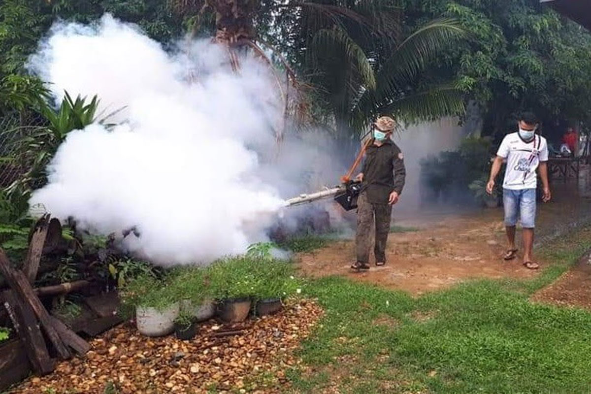 Ngành Y Lào cảnh báo về dịch sốt xuất huyết