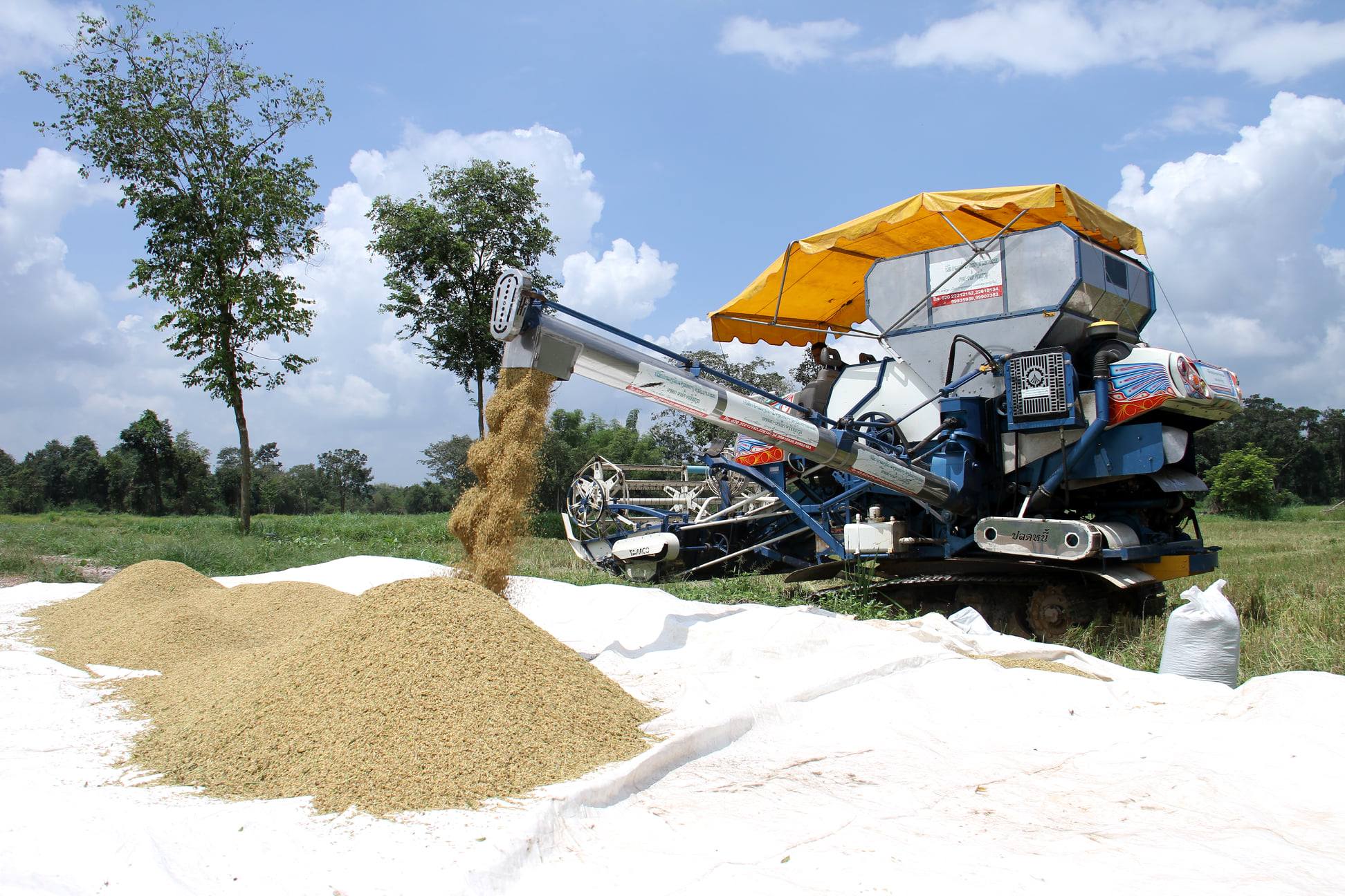 Nông Lâm nghiệp đóng góp quan trọng cho nền kinh tế Lào