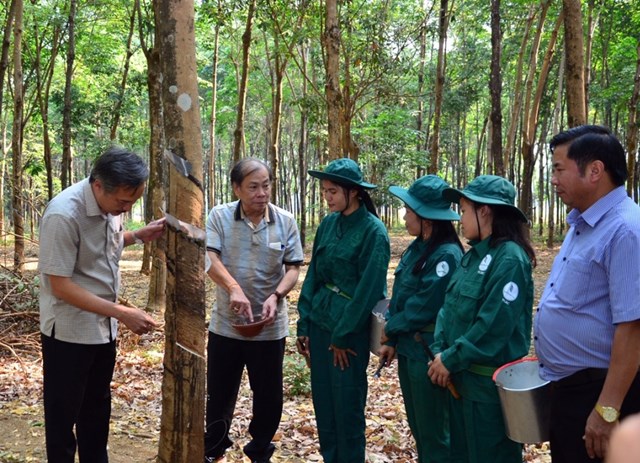 Công ty Cao su Việt Lào được tặng thưởng danh hiệu “Anh hùng Lao động” thời kỳ đổi mới