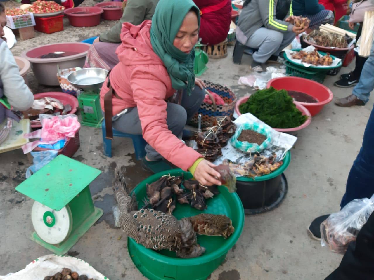 Săn bắt thú rừng trái phép tại Lào có thể bị phạt tù từ 2 đến 5 năm