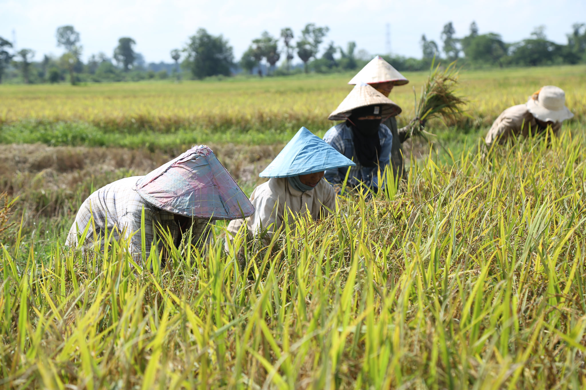 Lào đặt mục tiêu giảm đói nghèo xuống 13.9%