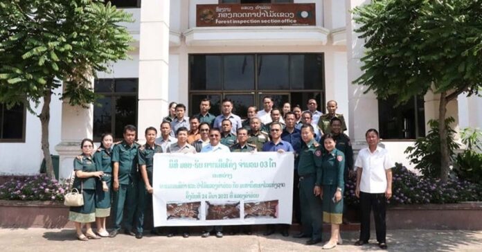 Lào thu giữ 3 xác hổ bất hợp pháp