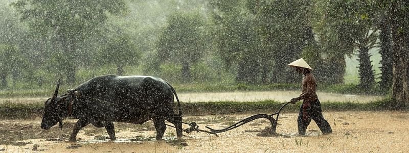 Mùa mưa ở Lào có thể đến sớm trong năm nay