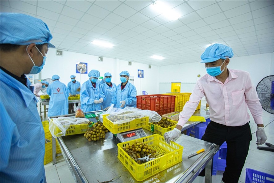 Xuất khẩu của Việt Nam sang Mỹ tăng mạnh