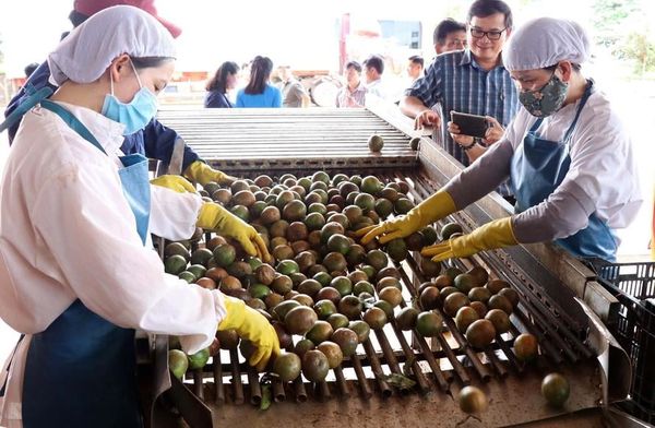 Lào nhập siêu 64 triệu USD trong tháng 4/2021