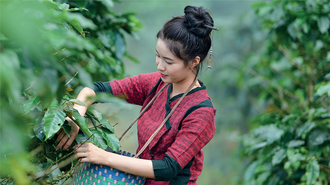 Lào nhập siêu 54 triệu USD trong tháng 5