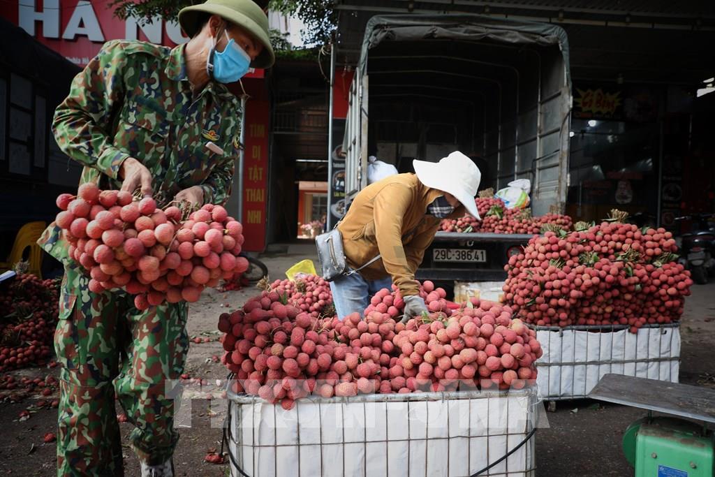 Vải thiều Việt Nam đến với siêu thị và khách hàng Anh