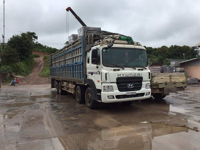 Báo chí phản ánh chi phí vận chuyển gia súc tăng cao ở Lào