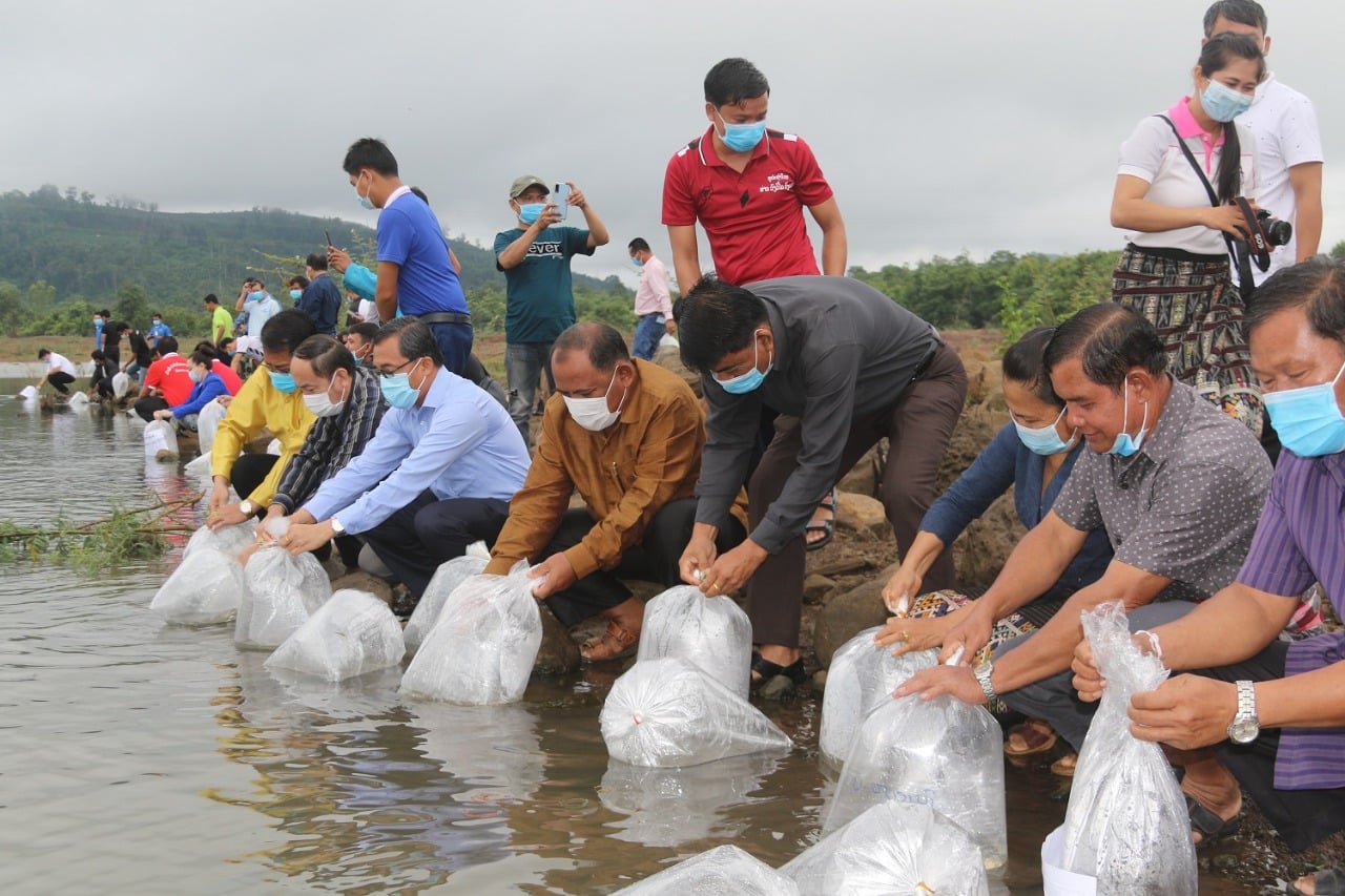 Vientiane đặt mục tiêu thả hàng triệu cá để đảm bảo an ninh lương thực