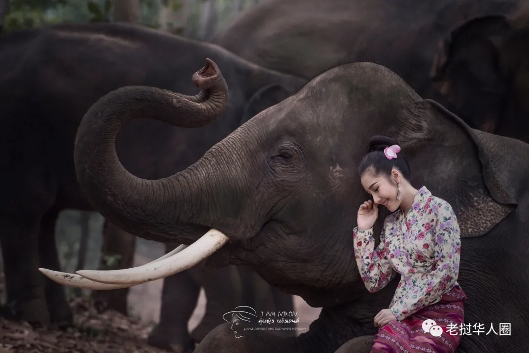 Ảnh: Phong cách thời trang của người đẹp Lào