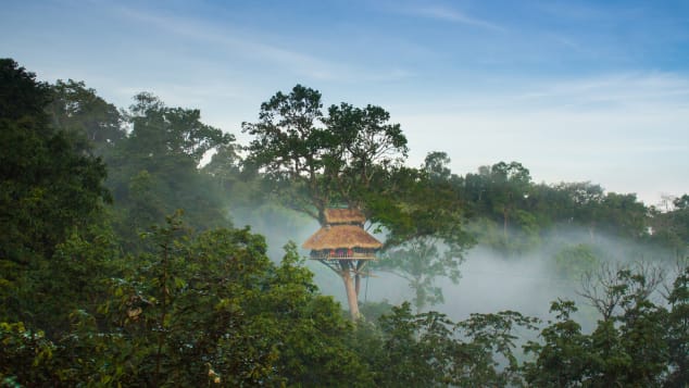 Ngủ đêm trong những ngôi nhà vắt vẻo trên cây cao nhất thế giới ở Lào