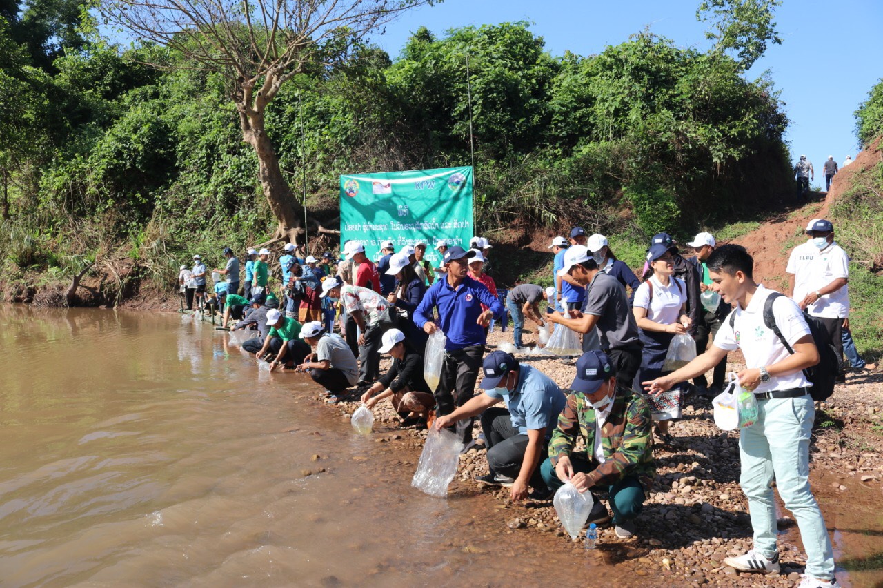 WWF xúc tiến bảo tồn động vật thủy sinh sông Mekong ở 3 tỉnh của Lào