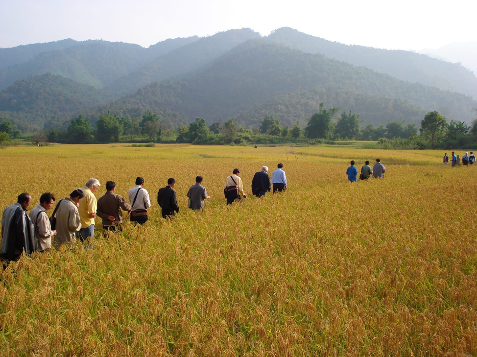 Nông nghiệp đóng vai trò quan trọng trọng kinh tế tỉnh Xiêng Khoảng