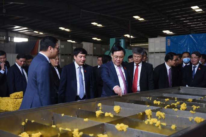 Chủ tịch Quốc hội Vương Đình Huệ thăm và làm việc tại Cao su Việt Lào - Ảnh 1. Chủ tịch Quốc hội Vương Đình Huệ thăm và làm việc tại Cao su Việt Lào - Ảnh 1.