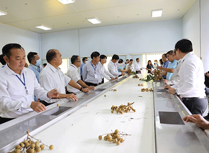 Lào-Thái Lan tăng cường hợp tác cấp địa phương