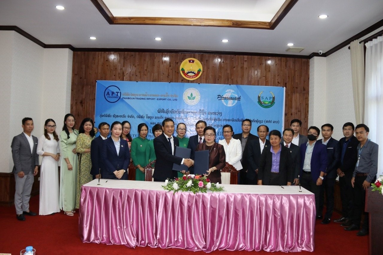 Đoàn đại biểu viện nghiên cứu và phát triển giống cây trồng Việt Nam thăm và làm việc tại Lào
