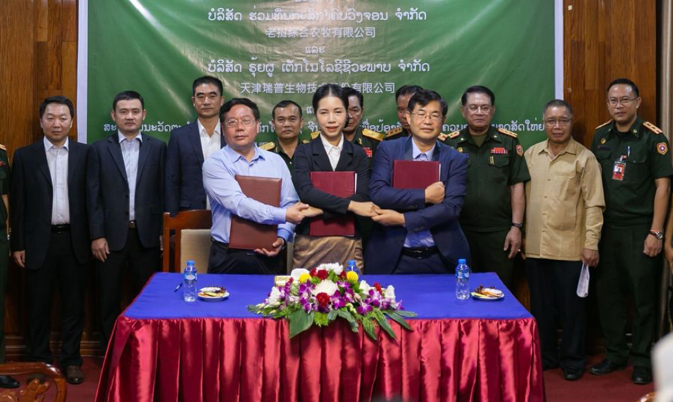 Quân đội Lào hợp tác với tư nhân phát triển xuất khẩu thịt bò