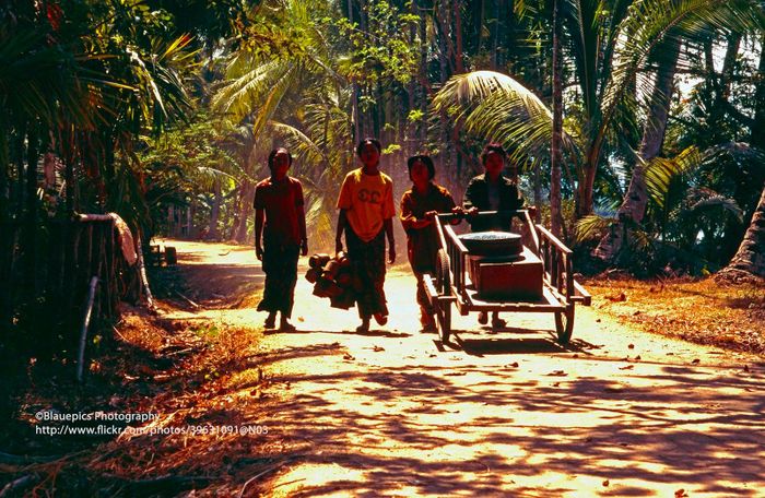 Những đứa trẻ trên một con đường ở đảo Don Khong.