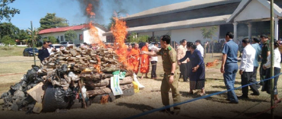 Savannakhet tiêu hủy lượng lớn ma túy
