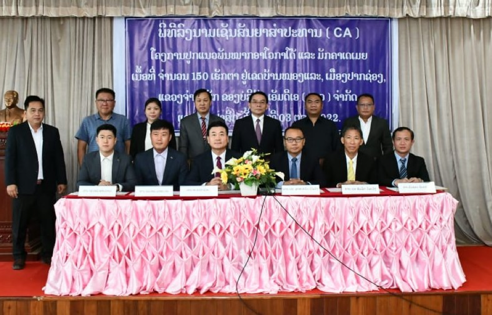 Hàn Quốc đầu tư trồng bơ và hạt mắc ca tại Paksong