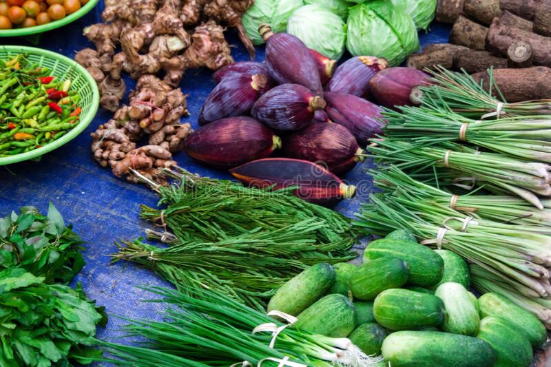 Lào dần bớt lệ thuộc vào cây trồng nhập khẩu
