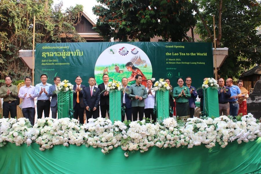 Hội chợ triển lãm trà quốc tế tại Luang Prabang