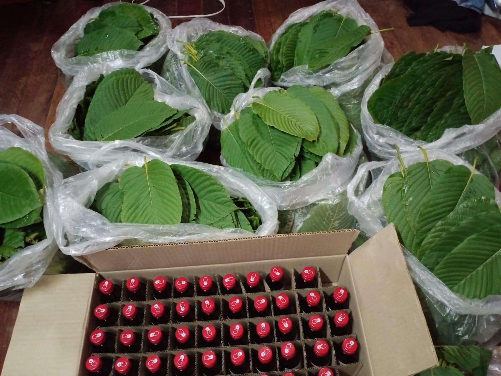 Các sản phẩm từ kratom vẫn phổ biến tại Lào bất chấp lệnh cấm