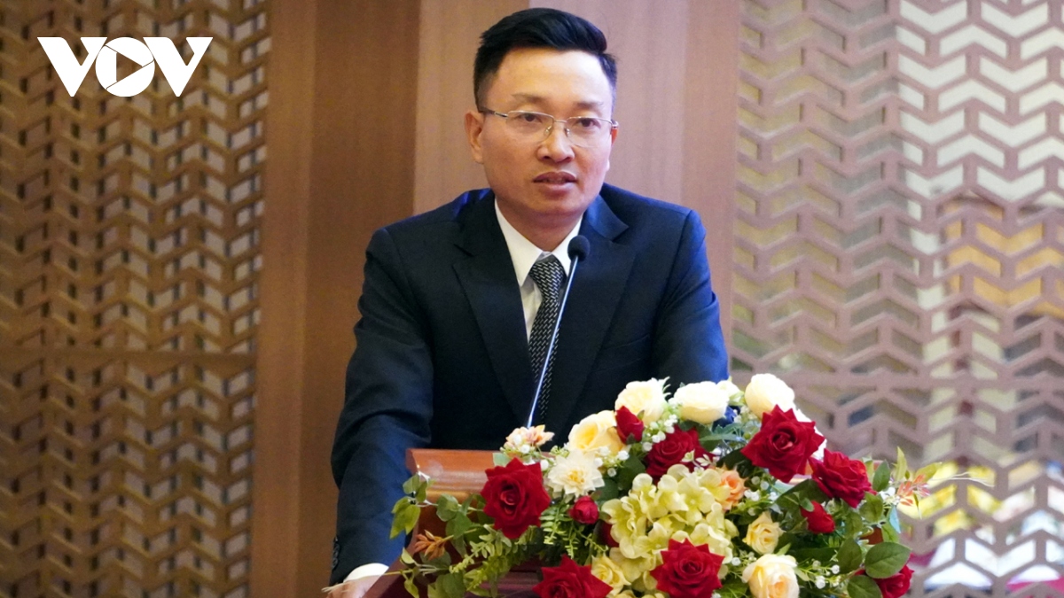 dn viet nam dong gop tich cuc cho phat trien kinh te - xa hoi lao hinh anh 1
