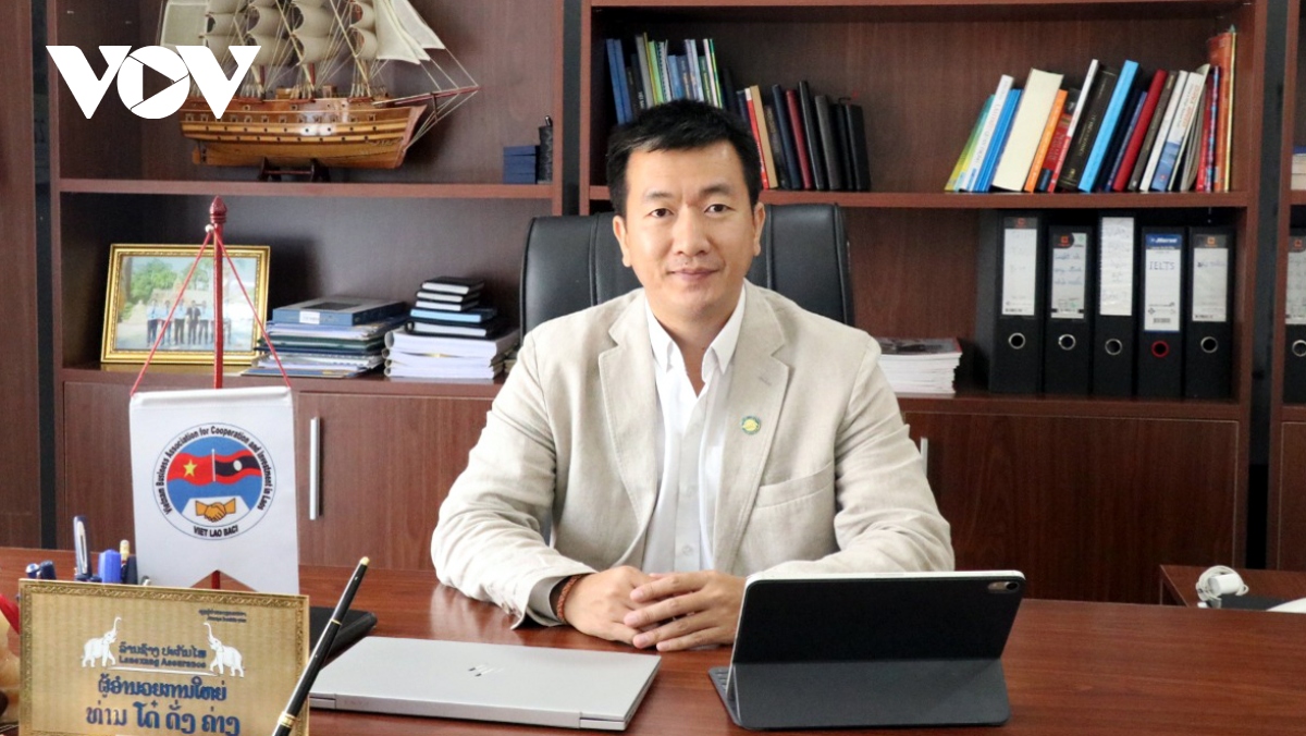 dn viet nam dong gop tich cuc cho phat trien kinh te - xa hoi lao hinh anh 2