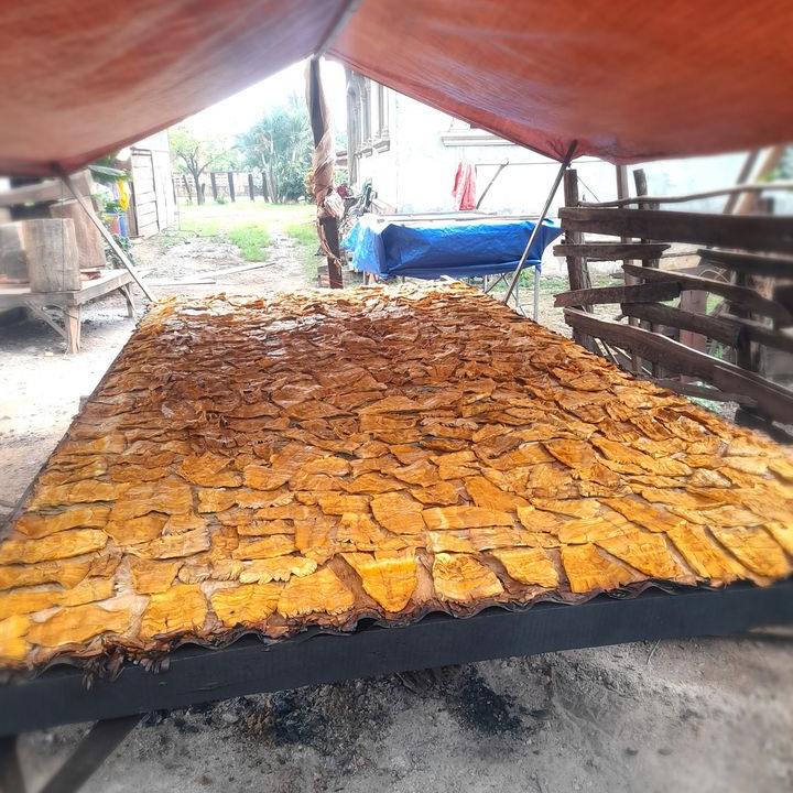 MeuangEt cấm sản xuất, mua bán măng khô