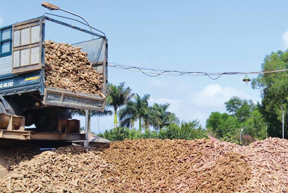 Lào xuất khẩu các mặt hàng nông lâm sản đạt 1.733,11 triệu USD