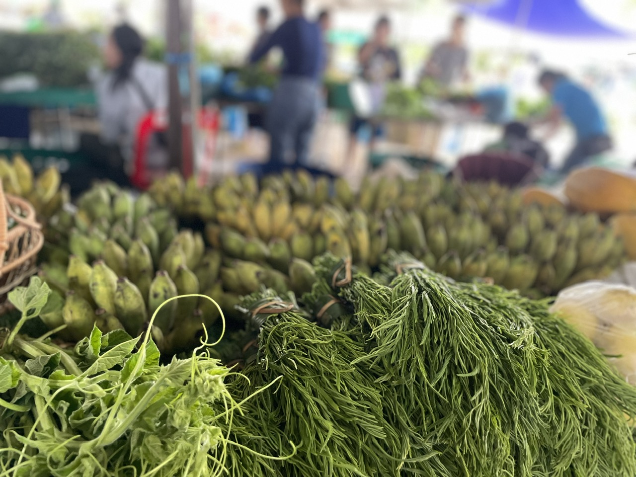 Lạm phát của Lào vẫn ở mức cao